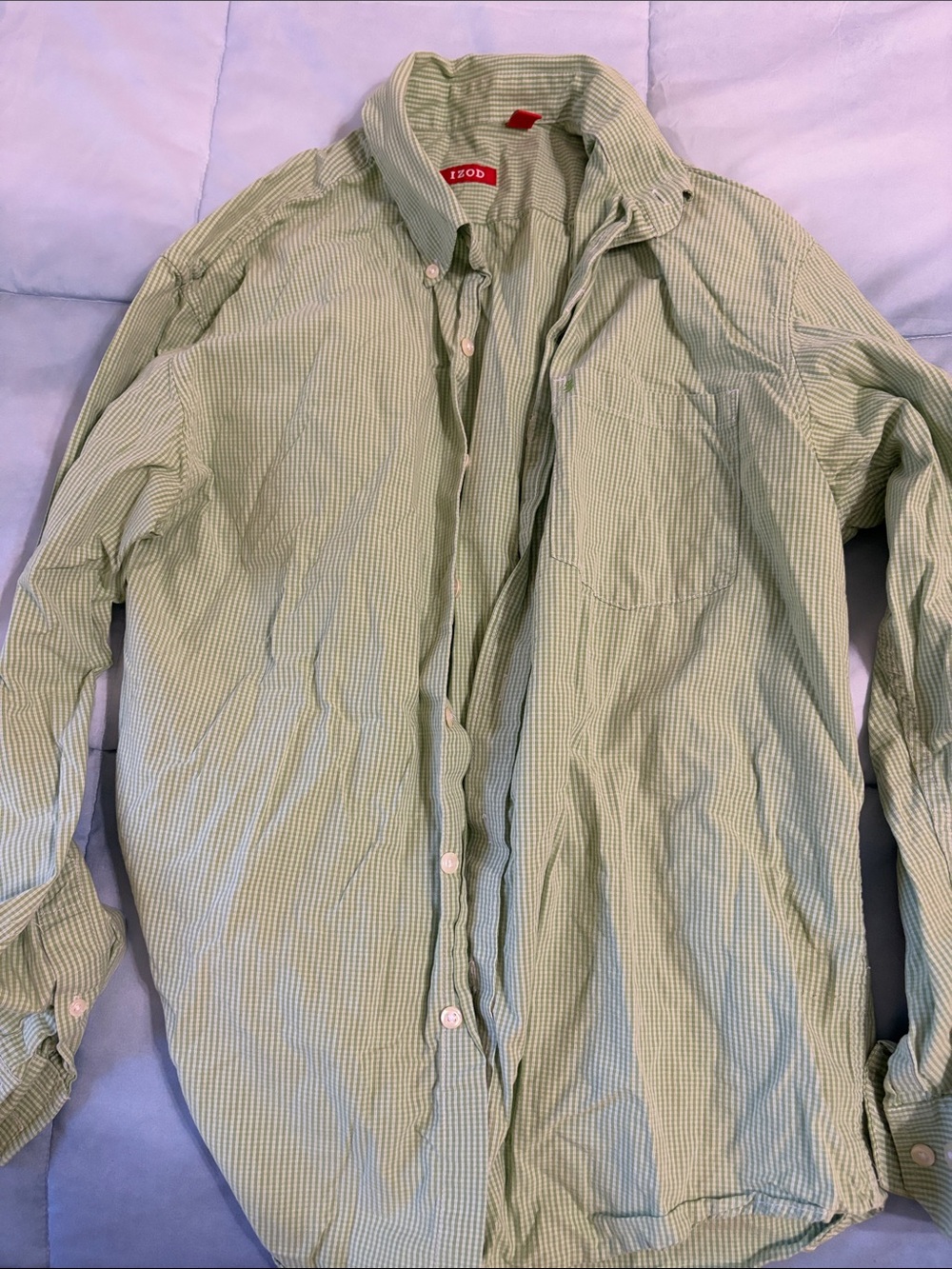 Izod Light Green Gingham Long-Sleeve Button-Down Shirt